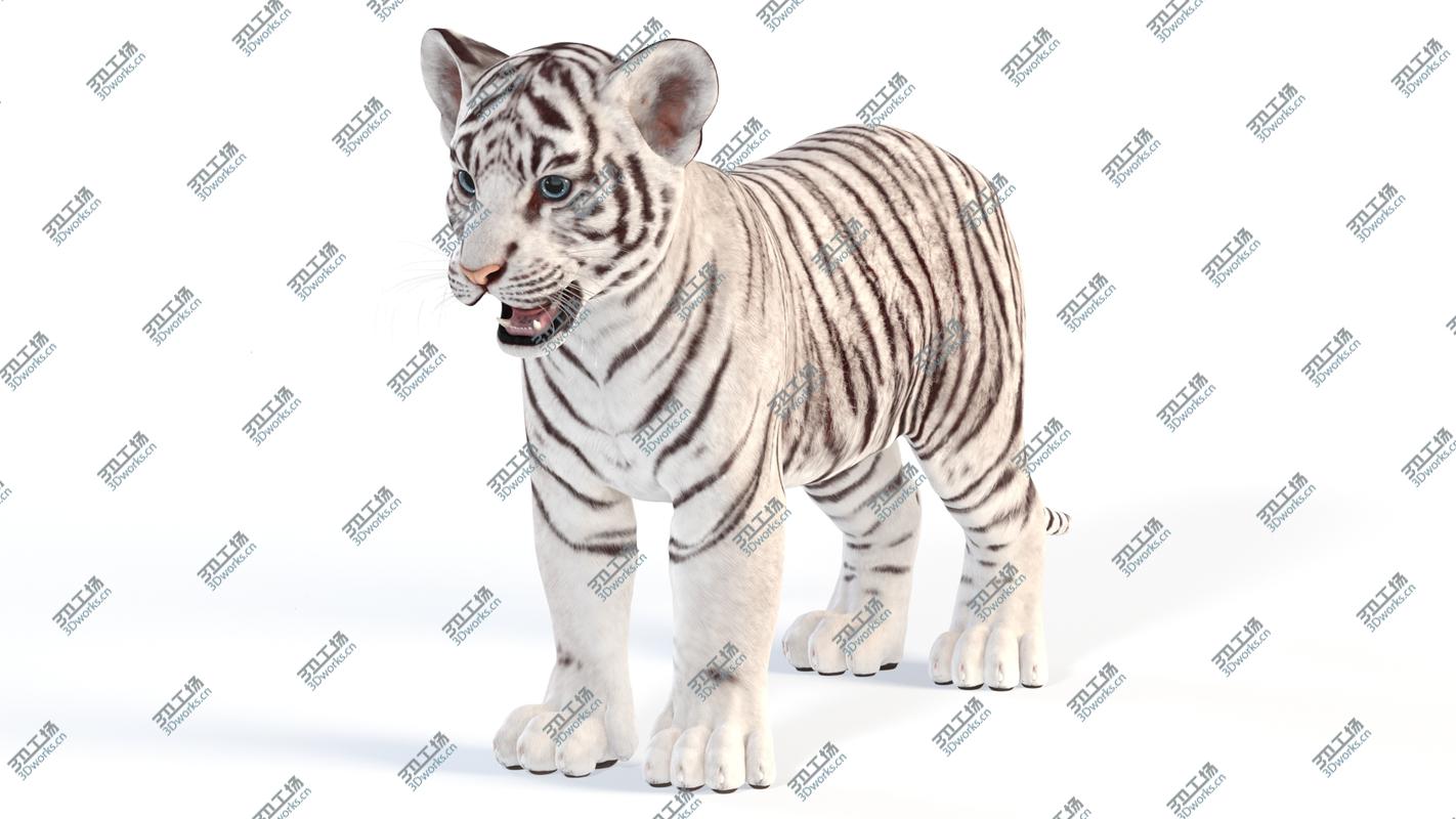 images/goods_img/20210319/White Baby Tiger 3D model/2.jpg